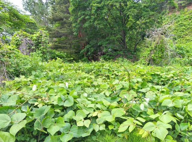 外観：301000102810