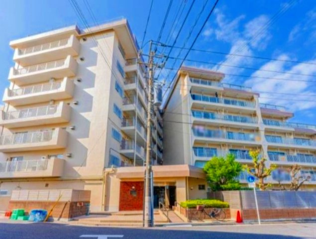 外観：313004667324