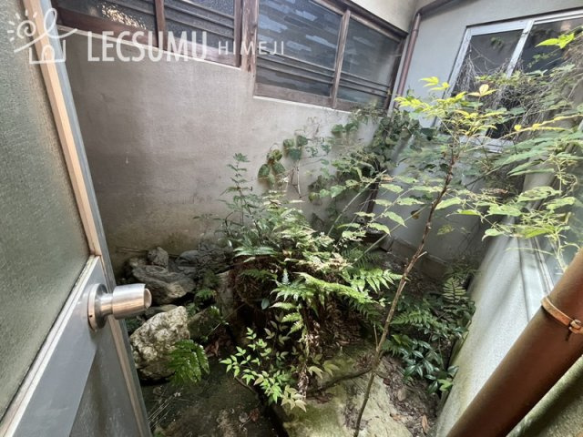 庭