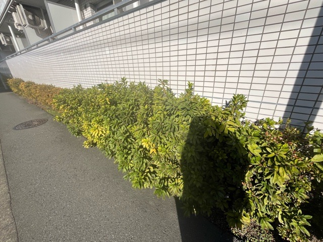 中庭（パティオ）とは、一つの建築物の内部に設けられた、壁などで囲われている庭のことを指します。コの字型、ロの字型が主流ですが、L字型の中庭もあります。最近では、インテリア性の高さからも人気があります。