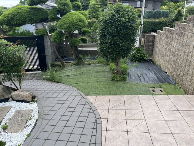 庭