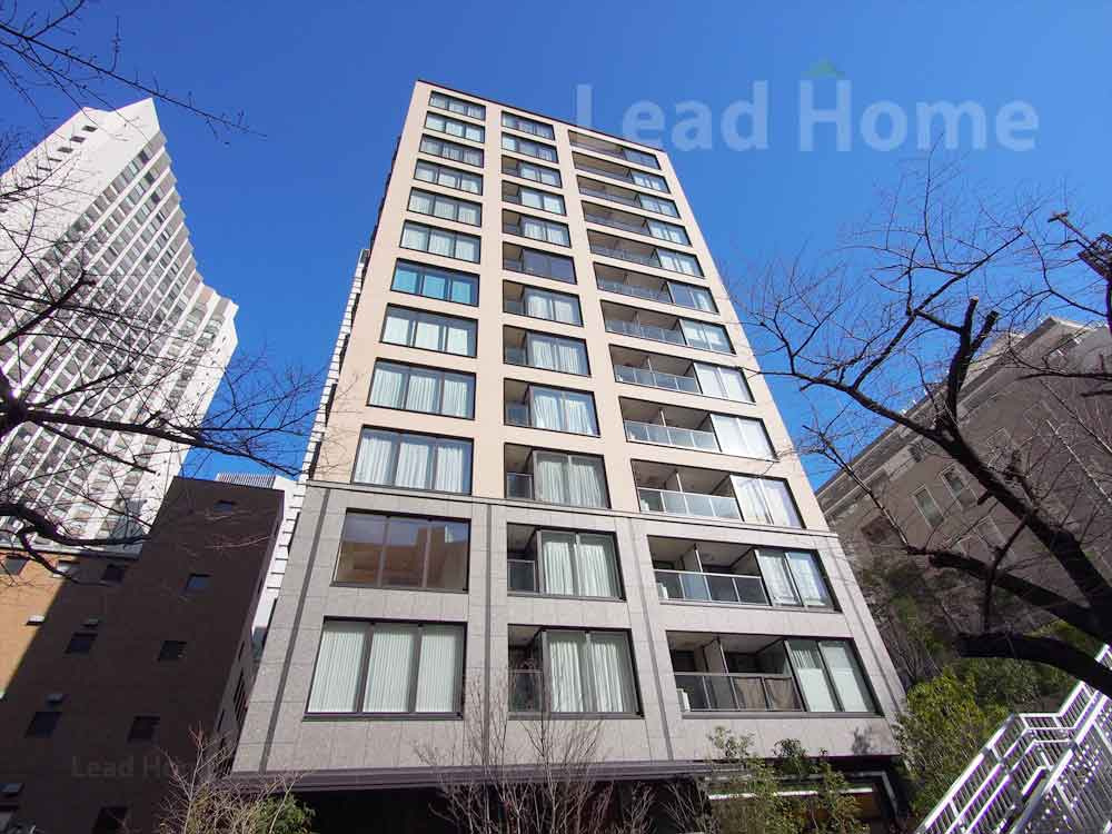 外観：313004684411