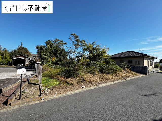 現地(2025年11月撮影)