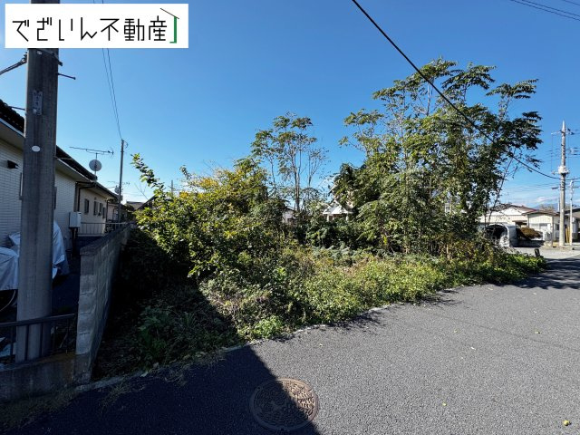 現地(2025年11月撮影)