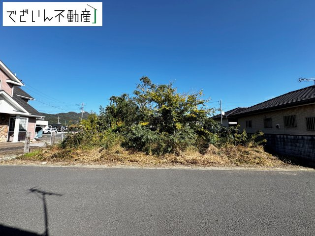 現地(2025年11月撮影)