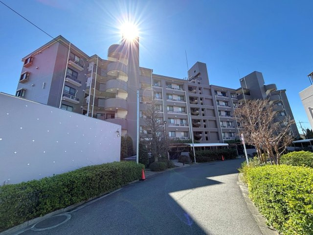 外観：311002332565