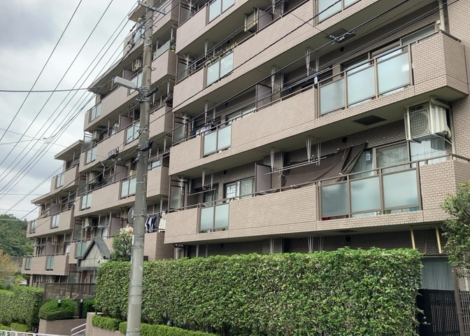 外観：313004405085