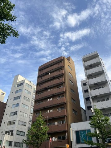 外観：313004748825