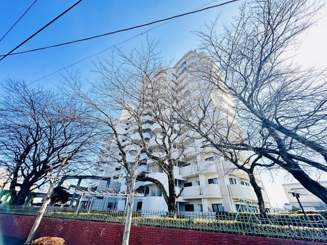 外観：309000077605