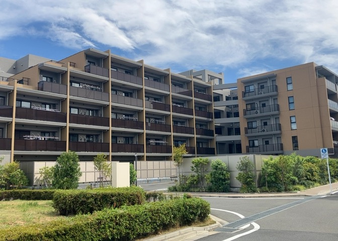 外観：313004381881