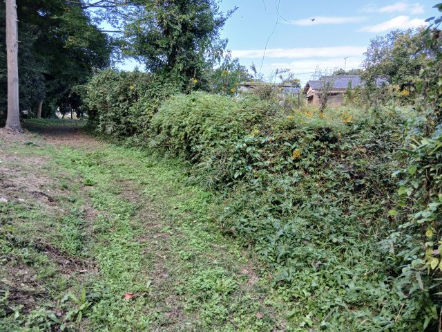 外観：311002310877