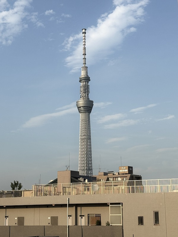 展望