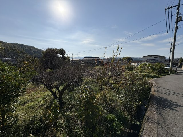 南側から心地よい陽光が差し込む開放的なロケーション。周辺は落ち着いた住宅環境で、のどかな景観が広がります。家庭菜園やゆとりある住まいづくりに適した明るい土地です。