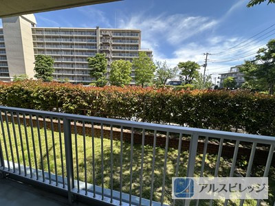 緑に癒される景色です