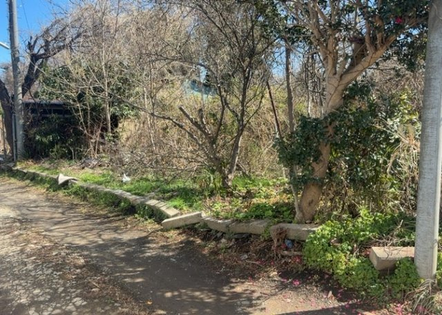 外観：314002663581