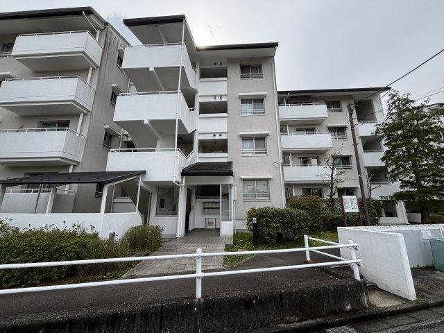 外観：313004662309