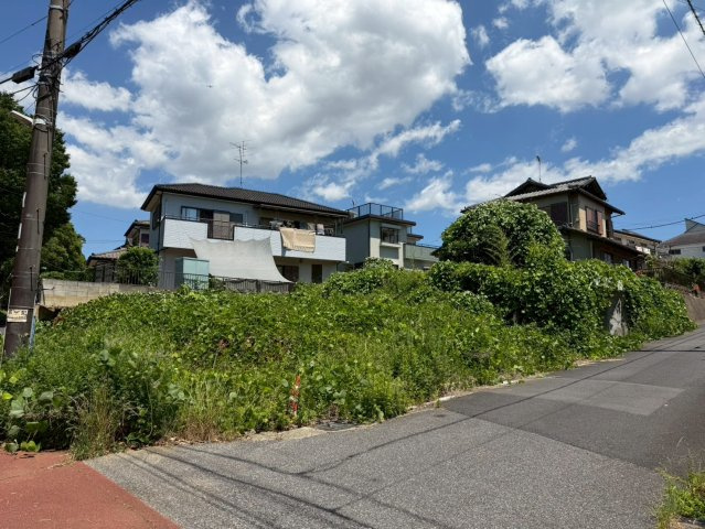 外観：312001261929