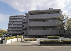 外観：314002383549