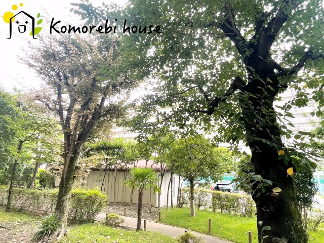 26.8.31　撮影