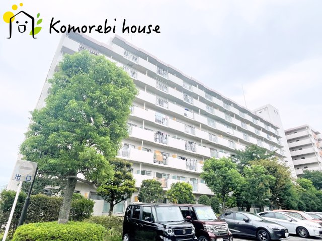 26.8.31　撮影