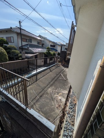 展望