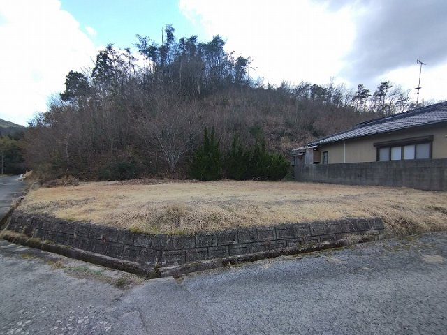 外観：334000236883