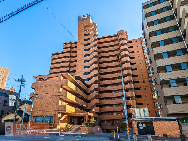 外観：309000099234