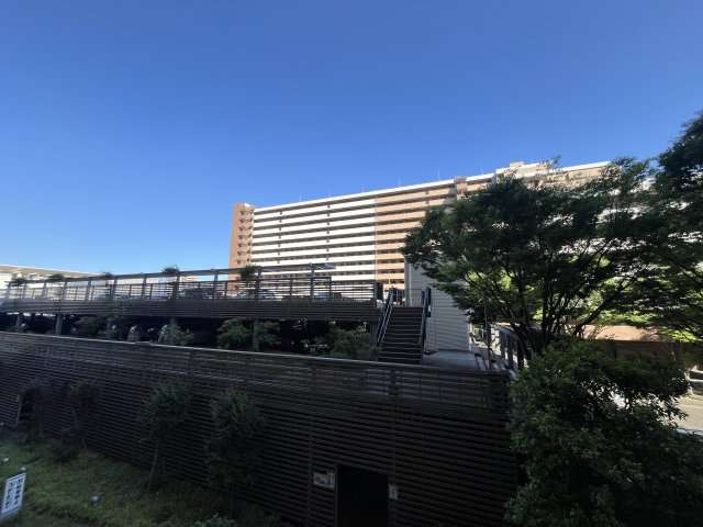 展望