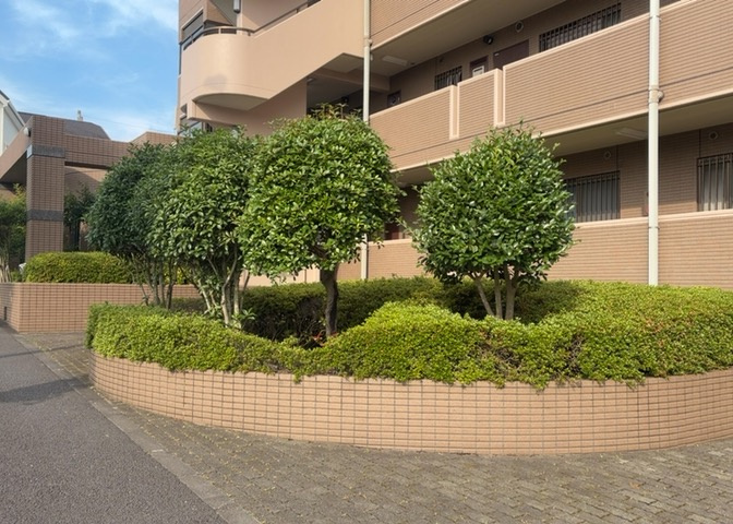 中庭（パティオ）とは、一つの建築物の内部に設けられた、壁などで囲われている庭のことを指します。コの字型、ロの字型が主流ですが、L字型の中庭もあります。最近では、インテリア性の高さからも人気があります。