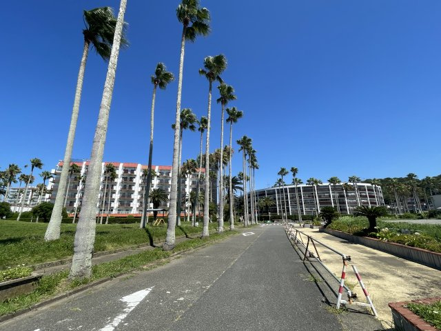 小坪海浜公園側から見た現地方面の風景