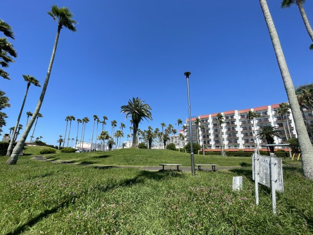徒歩1分　小坪海浜公園の様子