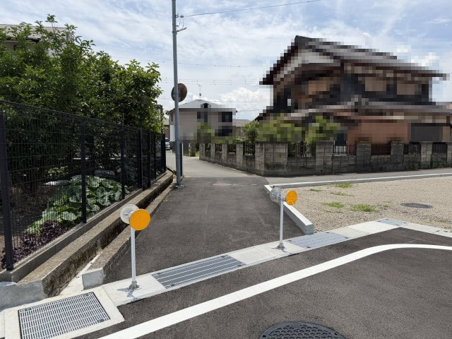 2026年6月19日撮影