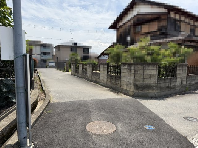 2026年6月19日撮影