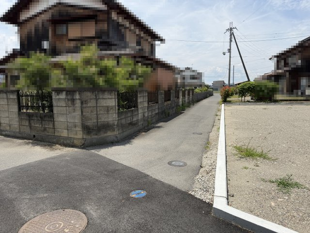 2026年6月19日撮影