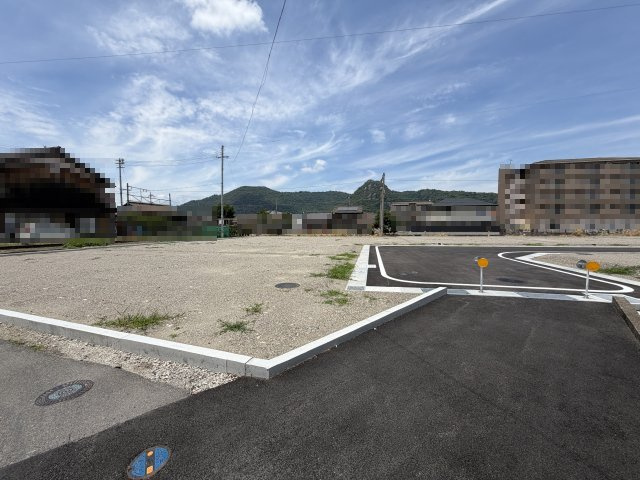 2026年6月19日撮影
