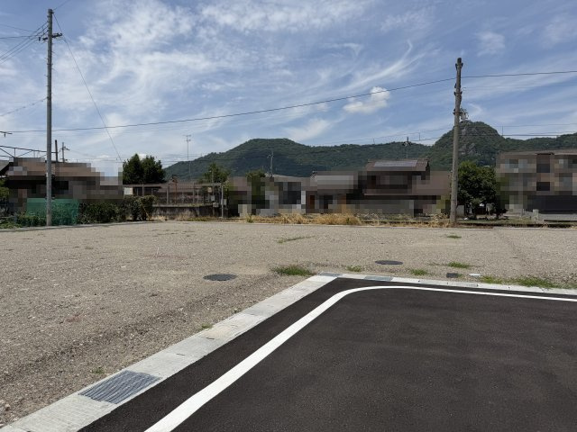 2026年6月19日撮影