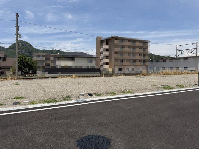 2026年6月19日撮影