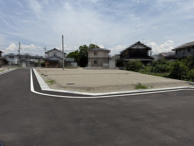 2026年6月19日撮影