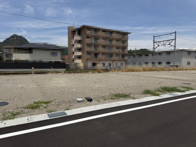 2026年6月19日撮影