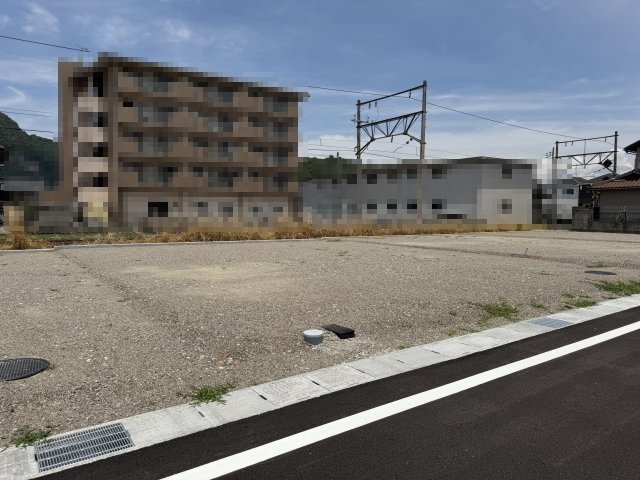 2026年6月19日撮影