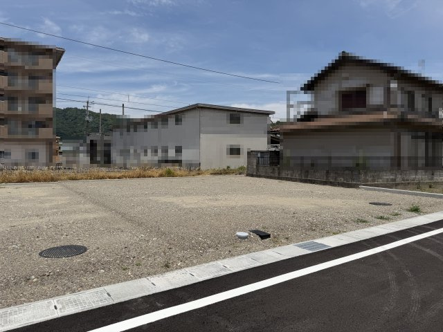 2026年6月19日撮影