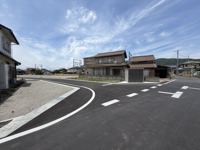 2026年6月19日撮影