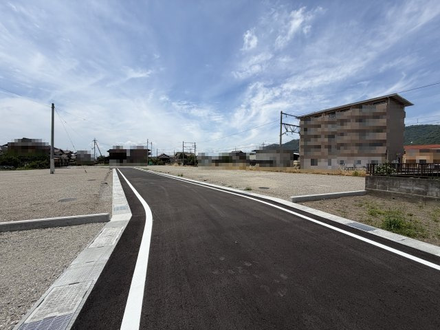 2026年6月19日撮影