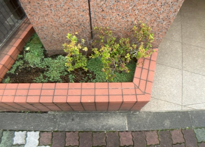 物件によっては、入居者が個人的に使用できる専用庭がついているものもあります。また、住宅の中にある土間の部分を庭と呼ぶこともあります。庭の用途は住む人によって変わり、それによってデザインもさまざまです。