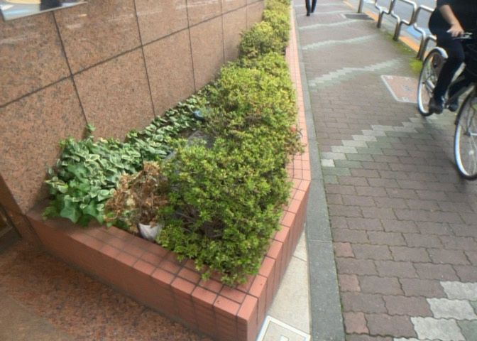 中庭（パティオ）とは、一つの建築物の内部に設けられた、壁などで囲われている庭のことを指します。コの字型、ロの字型が主流ですが、L字型の中庭もあります。最近では、インテリア性の高さからも人気があります。