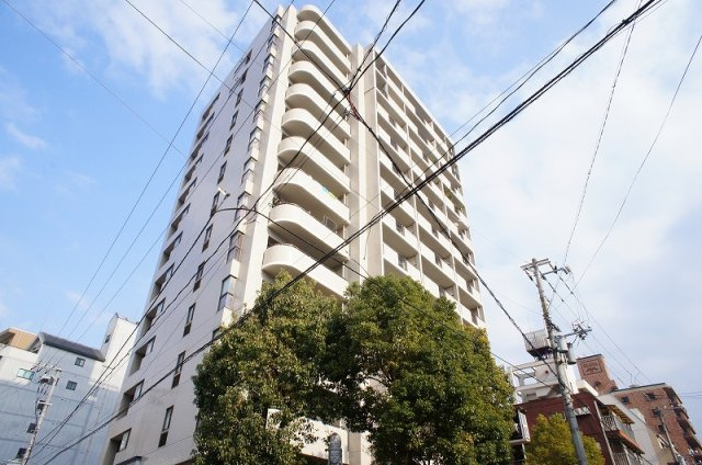 外観：334000237376