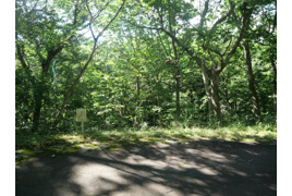 荘川ビレッジ⑫の外観