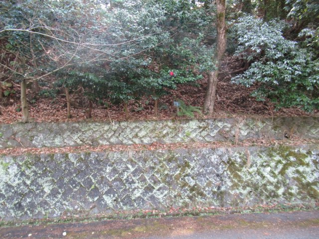 外観：322000481840