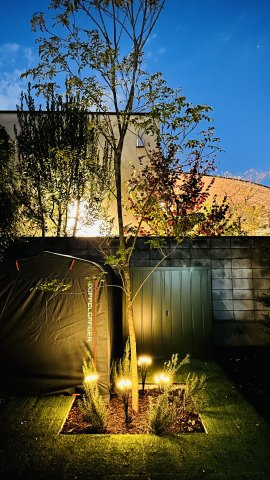 2025年10月27日撮影