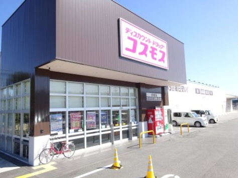 ドラッグストアコスモス　坊城店　824ｍ　徒歩11分